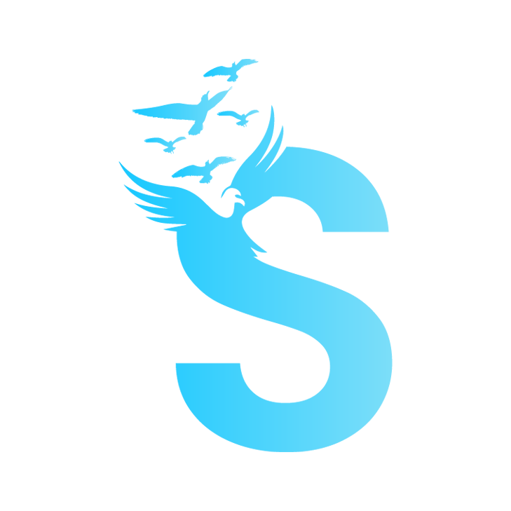 Skyway Admission consultancy