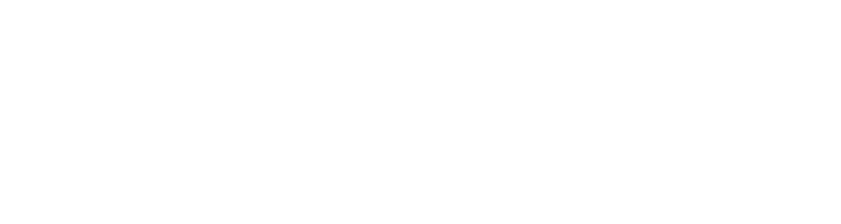 Skyway Admission consultancy
